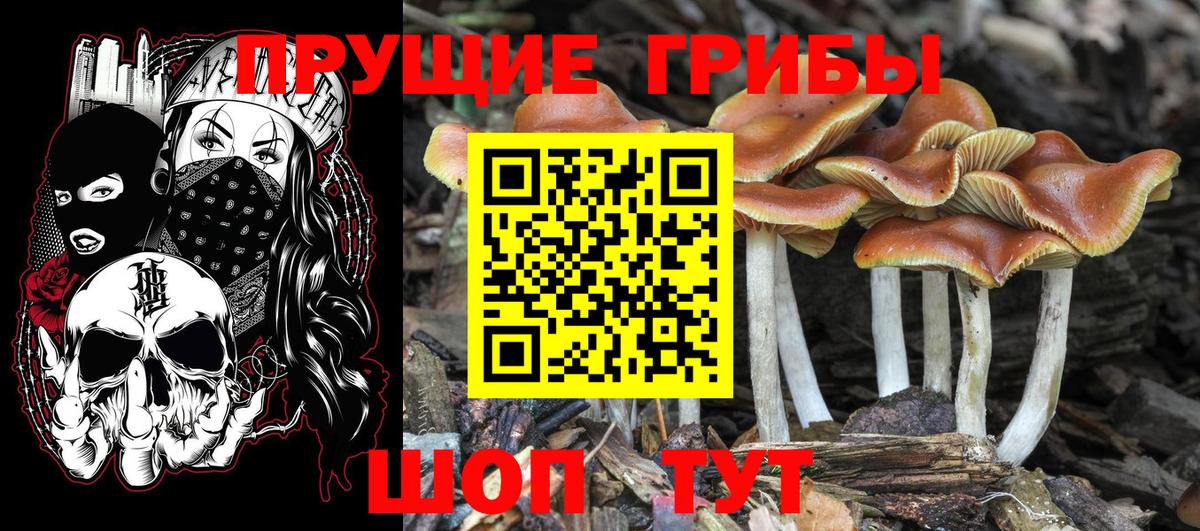 Галлюциногенные грибы мухоморы Россошь
