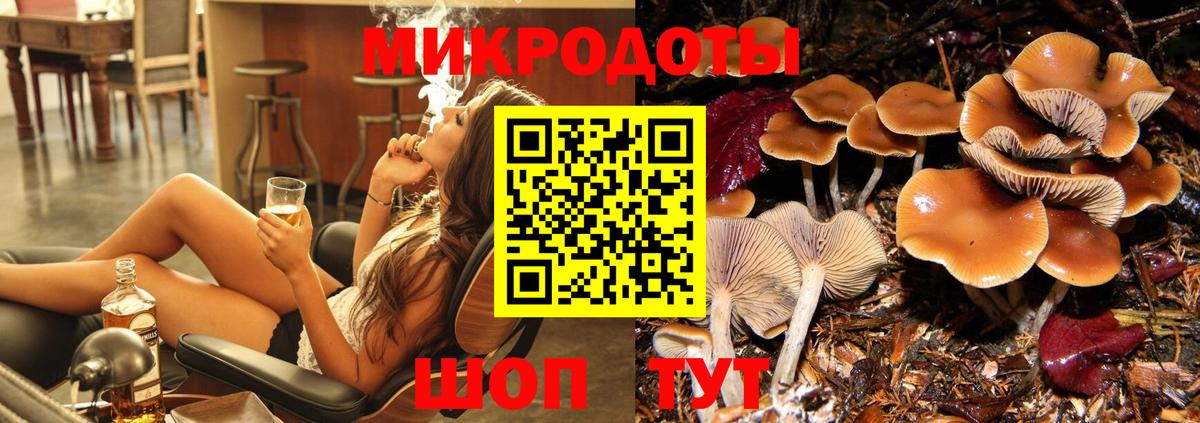 Псилоцибиновые грибы Psilocybe  Вход с VPN  Псилоцибиновые грибы мицелий  Россошь 